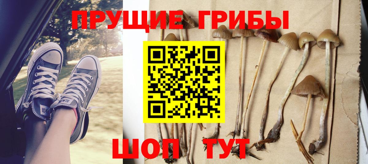 Псилоцибиновые грибы мухоморы  Вход с VPN  Людиново 